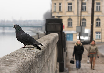 Image showing Krakow