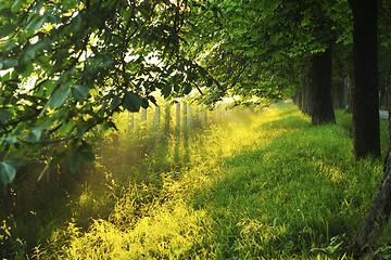 Image showing sunrise in beautiful alley