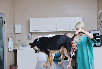 Image showing veterinarian and assistant in a small animal clinic