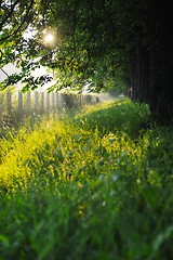 Image showing sunrise in beautiful alley