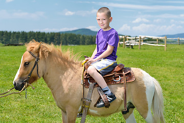 Image showing child ride pony