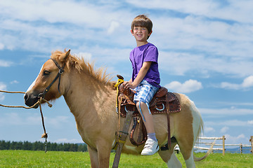 Image showing child ride pony