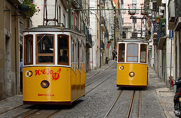 Image showing Trams