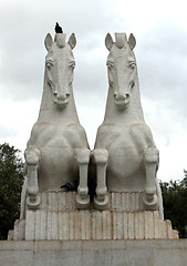 Image showing Horses