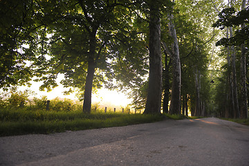 Image showing sunrise in beautiful alley