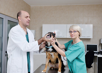 Image showing veterinarian and assistant in a small animal clinic