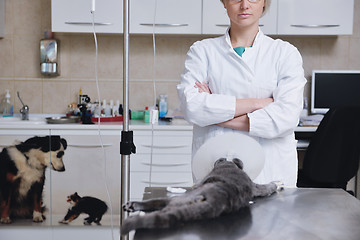 Image showing Female veterinary