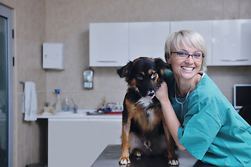 Image showing veterinarian and assistant in a small animal clinic