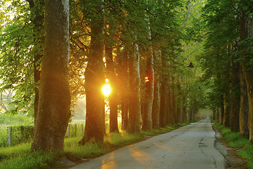 Image showing sunrise in beautiful alley