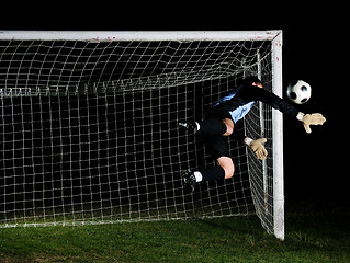 Image showing goalkeeper