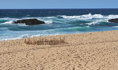 Image showing Coastline