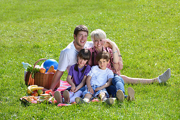 Image showing Happy family playing together in a picnic outdoors