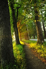 Image showing sunrise in beautiful alley