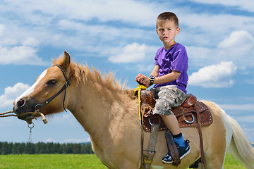 Image showing child ride pony