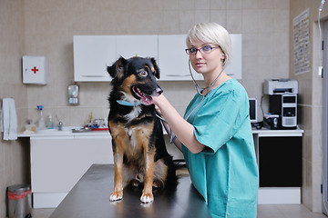 Image showing veterinarian and assistant in a small animal clinic