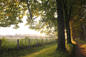 Image showing sunrise in beautiful alley