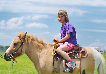 Image showing child ride pony