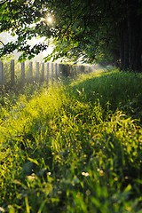 Image showing sunrise in beautiful alley