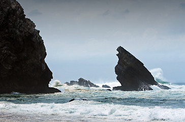 Image showing Rocky coast