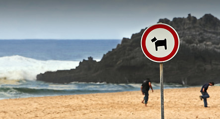 Image showing Dangerous beach