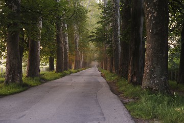 Image showing sunrise in beautiful alley