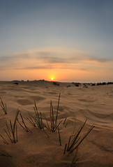 Image showing beautiful sunset in desert