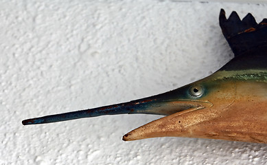 Image showing The fish