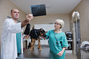 Image showing veterinarian and assistant in a small animal clinic