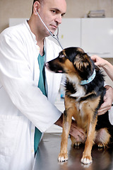 Image showing veterinarian and assistant in a small animal clinic