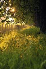 Image showing sunrise in beautiful alley