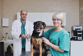 Image showing veterinarian and assistant in a small animal clinic