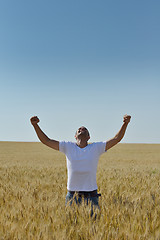 Image showing man in wheat field