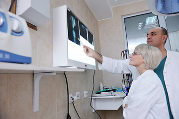 Image showing veterinarian and assistant in a small animal clinic