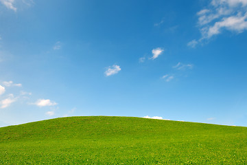 Image showing field of gras and blue sky