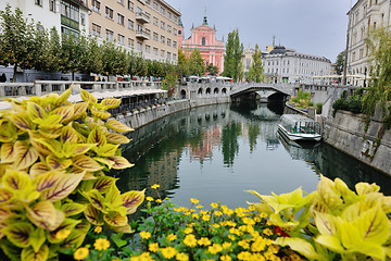 Image showing ljubljana capital of slovenia