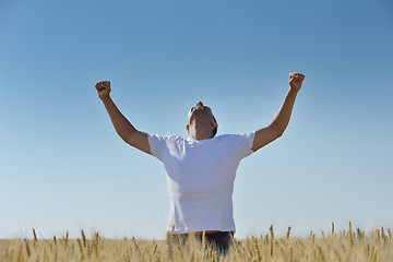 Image showing man in wheat field