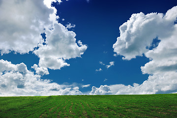 Image showing grass and sky nature backgrond