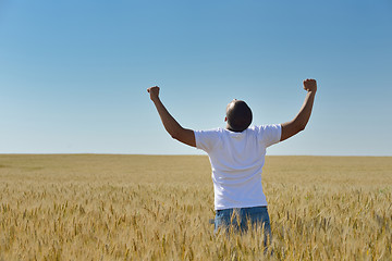 Image showing man in wheat field