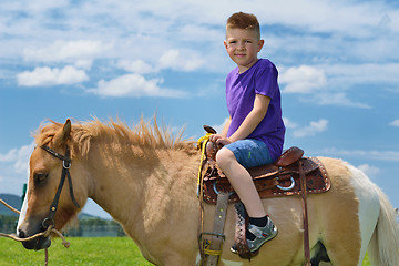 Image showing child ride pony