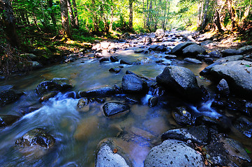 Image showing fresh water