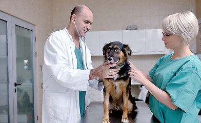 Image showing veterinarian and assistant in a small animal clinic