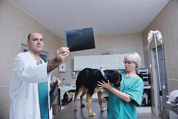 Image showing veterinarian and assistant in a small animal clinic