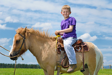 Image showing child ride pony