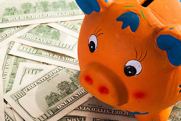 Image showing The funny piggy bank