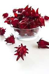 Image showing Roselle [Hibiscus sabdariffa]