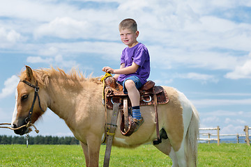 Image showing child ride pony