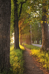 Image showing sunrise in beautiful alley