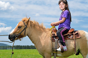 Image showing child ride pony