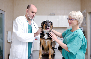 Image showing veterinarian and assistant in a small animal clinic