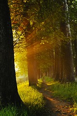 Image showing sunrise in beautiful alley